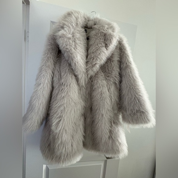 Zara Faux Fur Oversized Light Grey Coat Jacket  Large L Viral Blogger Favorite - Picture 1 of 7